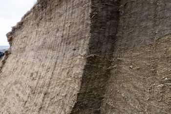 la paroi de l’ensilage intacte